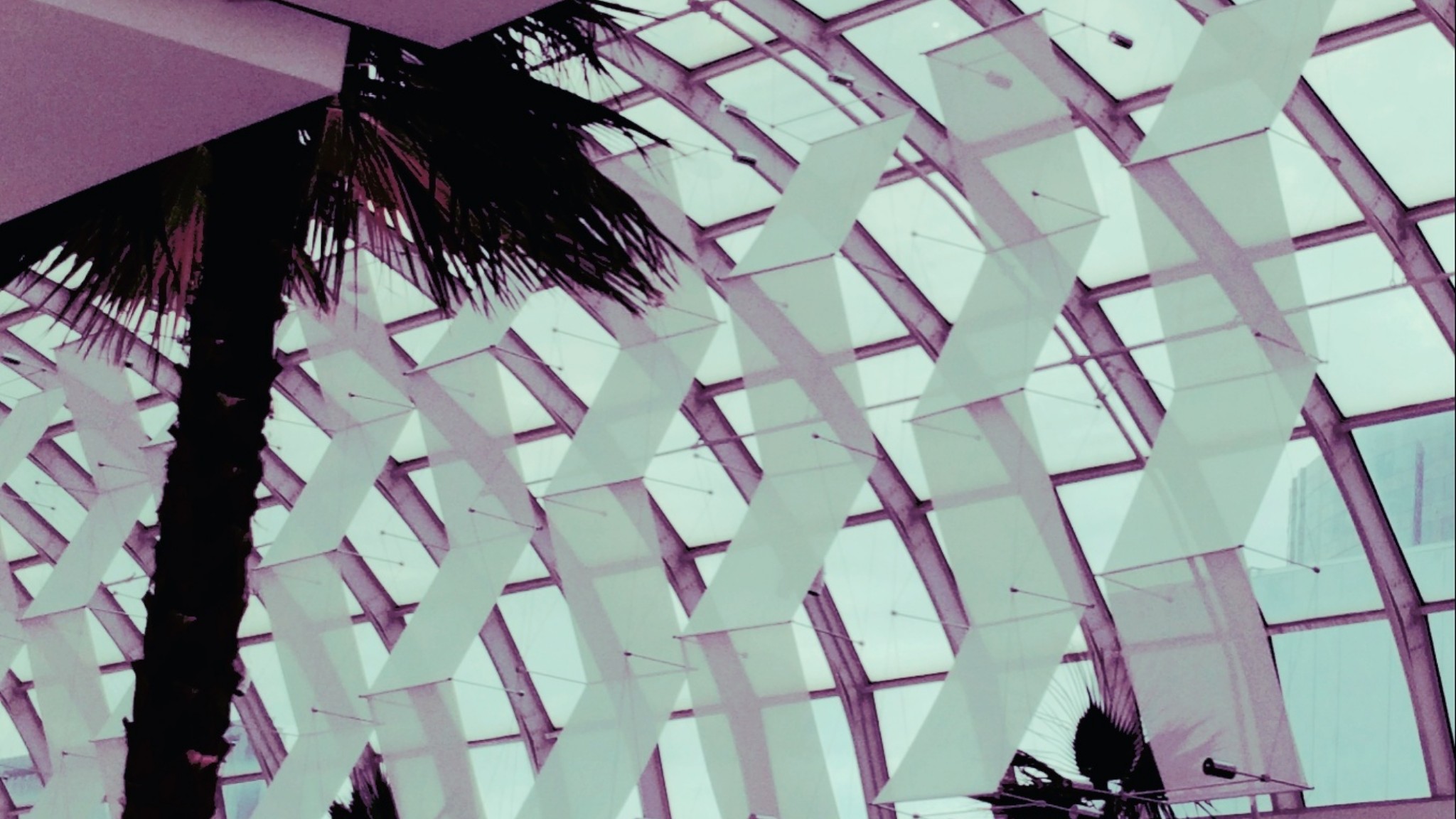 Picsart banner for @estrogen